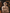 Ayrton Senna Legacy Bust Statue